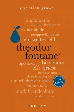 Christian Grawe Theodor Fontane. 100 Seiten обложка книги