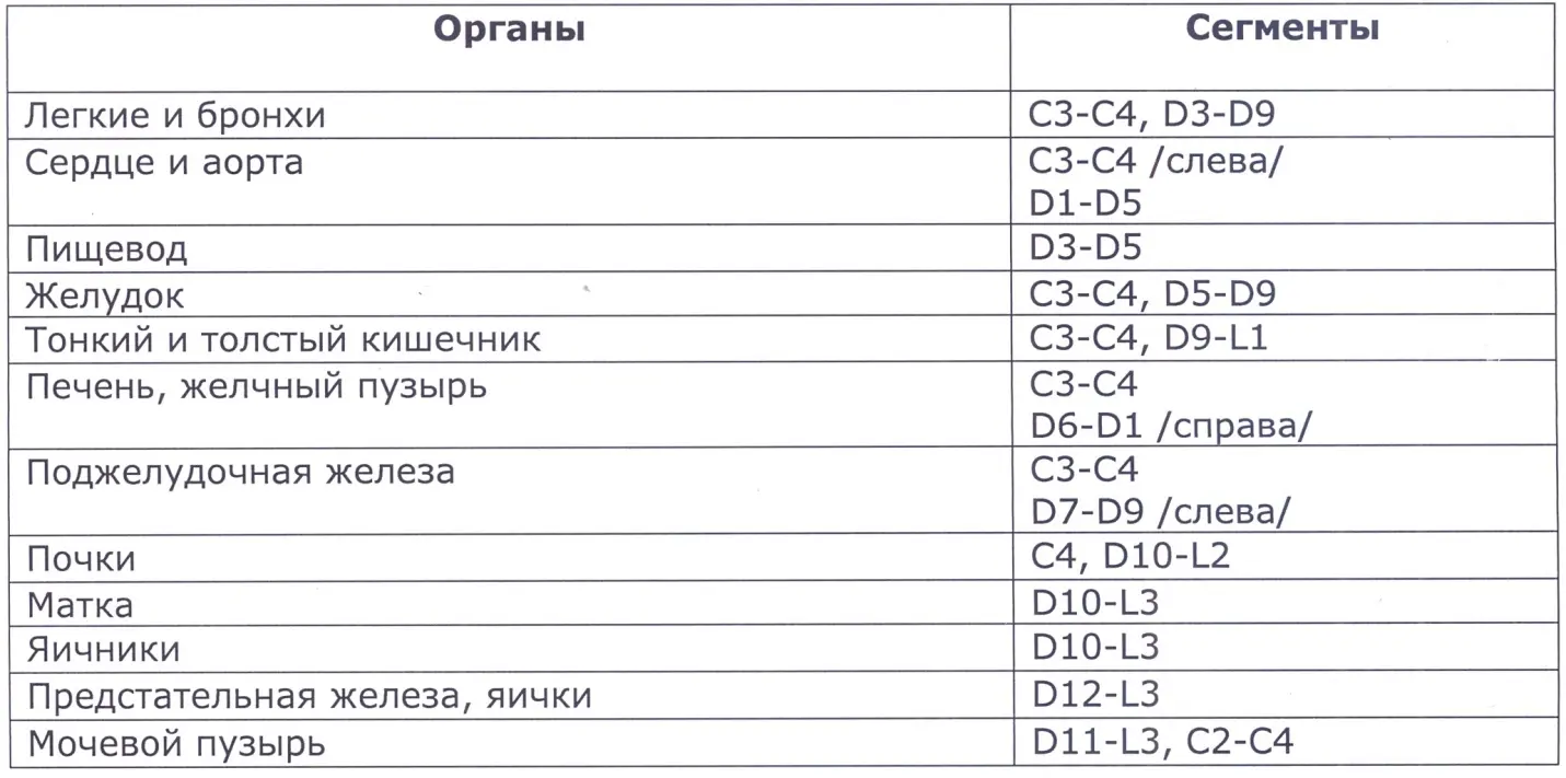 При сегментарном массаже позвоночника используется прием сверления Его можно - фото 22