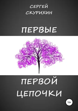 Сергей Скурихин Первые первой цепочки обложка книги