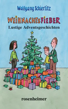 Wolfgang Schierlitz Weihnachtsfieber обложка книги