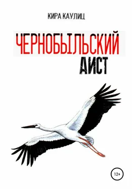 Кира Каулиц Чернобыльский аист обложка книги