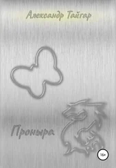 Александр Тайгар - Проныра