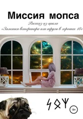 Евгения Хамуляк - Миссия мопса