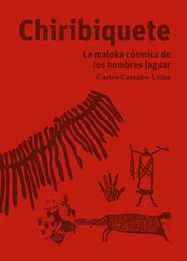 Carlos Castaño-Uribe Chiribiquete обложка книги