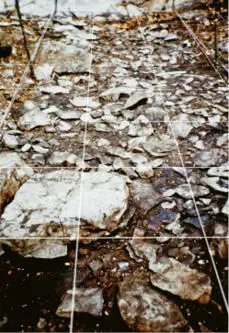 Demarcación de la cuadrícula donde se inicia la excavación Arqueológica en 1991 - фото 69