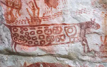La iconografía felina de Chiribiquete es reiterativa Es evidente que la figura - фото 40