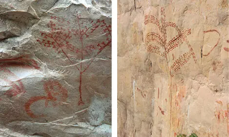 La iconografía de Chiribiquete es sobresaliente por la identificación de - фото 61