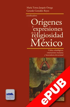 María Teresa Jarquín Ortega Orígenes y expresiones de la religiosidad en México обложка книги