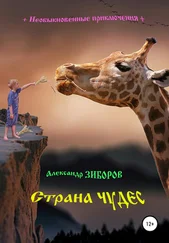 Александр Зиборов - Страна чудес