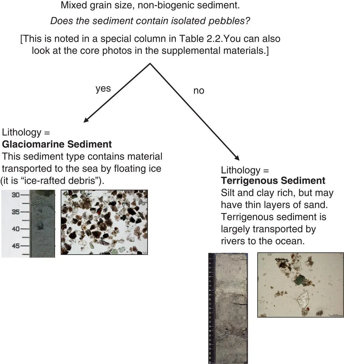 TABLE 22Smear slide composition and textural data plus presenceabsence of - фото 12