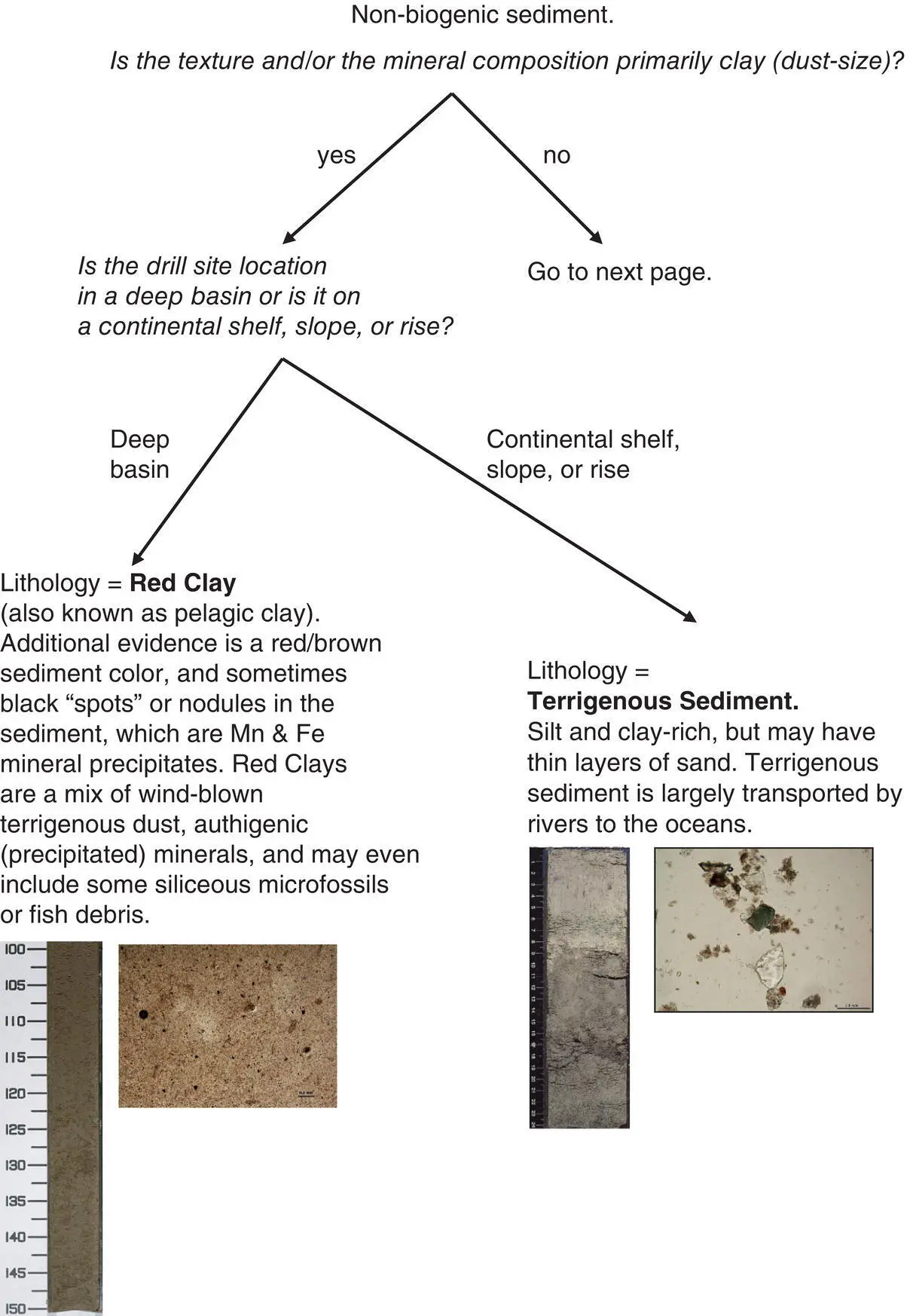 TABLE 22Smear slide composition and textural data plus presenceabsence of - фото 11
