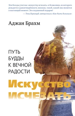 Аджан Брахм Искусство исчезать. Путь Будды к вечной радости обложка книги