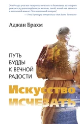 Аджан Брахм - Искусство исчезать. Путь Будды к вечной радости