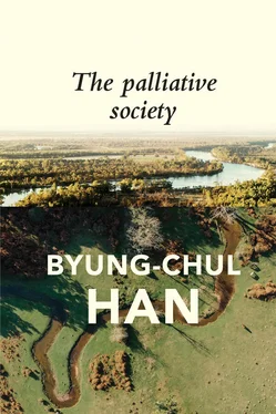 Byung-Chul Han The Palliative Society обложка книги