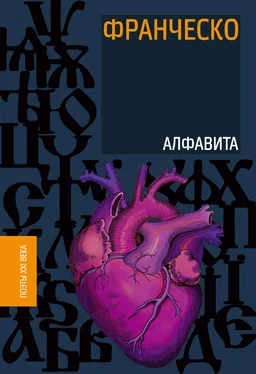 Франческо Алфавита обложка книги