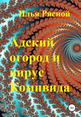 Илья Рясной Адский огород и вирус Компвида обложка книги