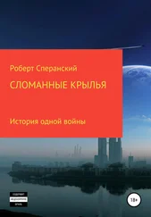 Роберт Сперанский - Сломанные крылья