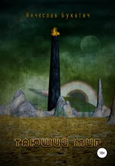 Вячеслав Букатич - Тающий мир