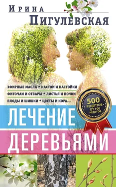 Ирина Пигулевская Лечение деревьями. 500 рецептов от 100 недугов обложка книги