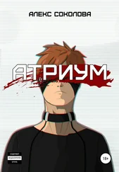 Алекс Соколова - Атриум