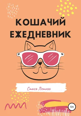 Стася Летняя Кошачий ежедневник обложка книги