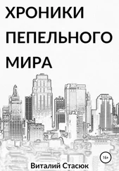 Виталий Стасюк - Хроники пепельного мира