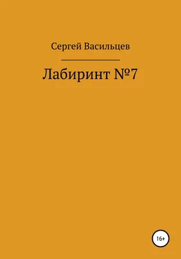 Сергей Васильцев Лабиринт №7 обложка книги