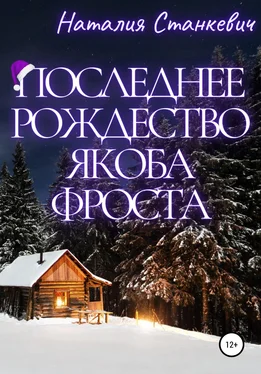 Наталия Станкевич Последнее Рождество Якоба Фроста обложка книги