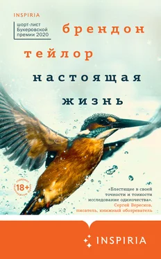 Брендон Тейлор Настоящая жизнь обложка книги