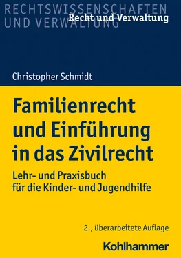 Christopher Schmidt Familienrecht und Einführung in das Zivilrecht обложка книги