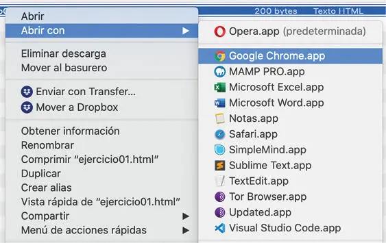 La acción de abrir el archivo del programa con google chrome es la forma en que - фото 63