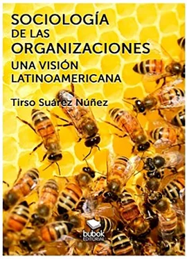 Tirso Suárez Núñez Sociología de las organizaciones - Una visión latinoamericana обложка книги