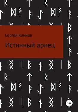 Сергей Климов Истинный ариец обложка книги
