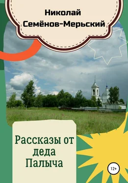 Николай Семёнов-Мерьский Рассказы от деда Палыча обложка книги