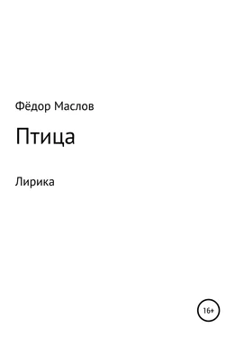 Фёдор Маслов Птица обложка книги