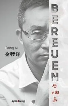 Dong Xi Bereuen обложка книги