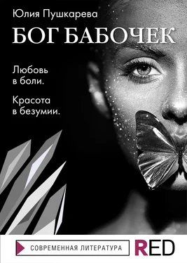 Юлия Пушкарева Бог бабочек обложка книги