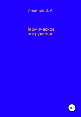 Валерий Ильичев Кармическое погружение обложка книги