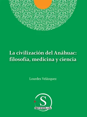 Lourdes Velazquez González La civilización del Anáhuac: filosofía, medicina y ciencia обложка книги