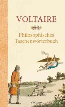 Voltaire Philosophisches Taschenwörterbuch обложка книги