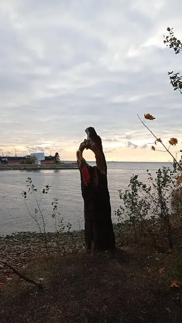 Вдруг изза горизонта сосредоточенного в этой дыре за одну секунду - фото 9