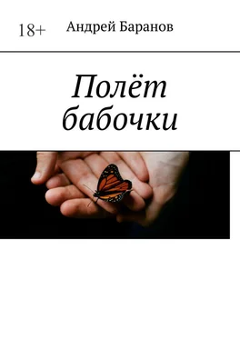Андрей Баранов Полёт бабочки