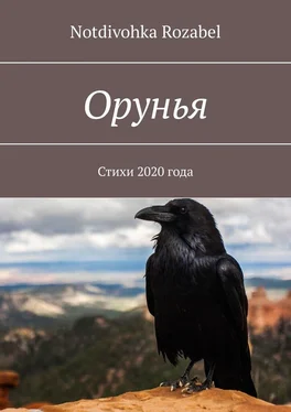 Notdivohka Rozabel Орунья. Стихи 2020 года обложка книги