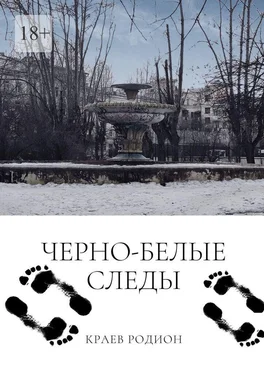 Родион Краев Черно-белые следы обложка книги
