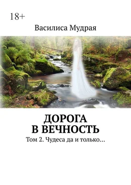 Василиса Мудрая Дорога в Вечность. Том 2. Чудеса да и только… обложка книги