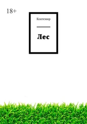 Контемир - Лес