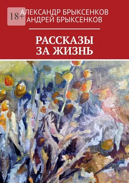 Андрей Брыксенков РАССКАЗЫ ЗА ЖИЗНЬ обложка книги