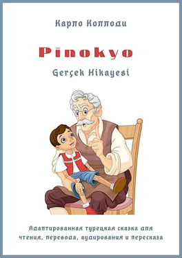 Карло Коллоди Pinokyo Gerçek Hikayesi. Адаптированная турецкая сказка для чтения, перевода, аудирования и пересказа обложка книги