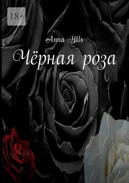Anna Hils Чёрная роза обложка книги