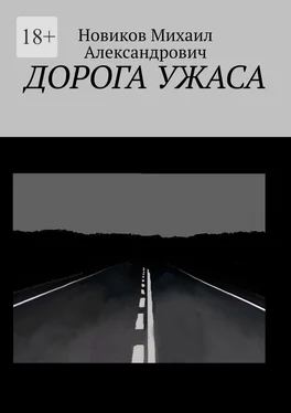 Михаил Новиков ДОРОГА УЖАСА обложка книги